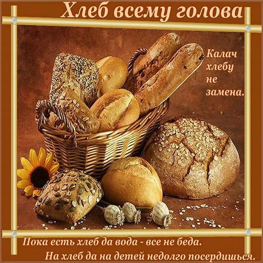 С Днем домашнего хлеба! Поздравления с ароматом утреннего свежего хлебушка в праздник 17 ноября
