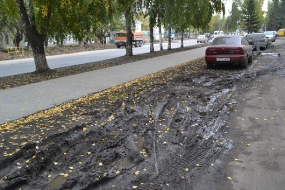 Это грязное пространство у дома в центре Бердска называется газоном После парковки машин любой газон превращается в болото