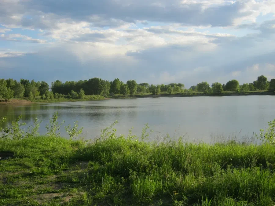 commons.wikimedia.org