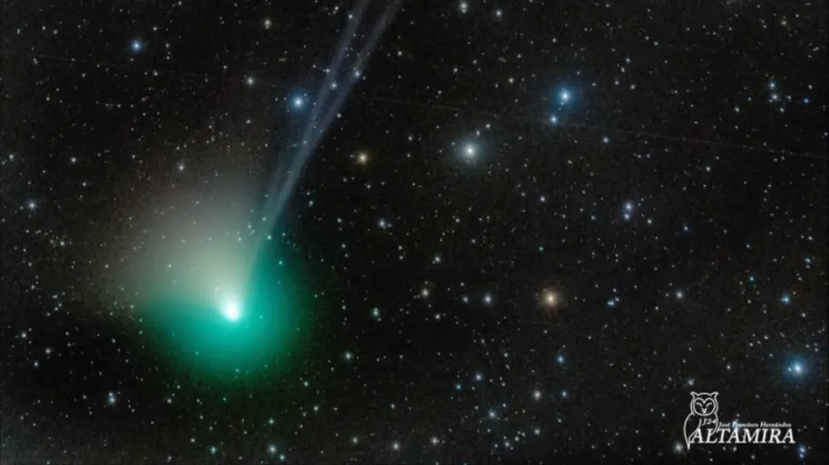 «Комета неандертальцев» приблизится к Земле в ночь с 1 на 2 февраля: где можно увидеть уникальное космическое событие, которое происходит раз в 50 тысяч лет – идеальное время для лучшего вида на небе и для онлайн-трансляции