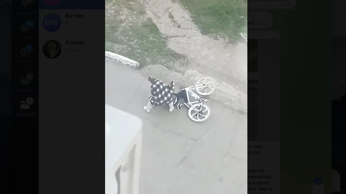В Сызрани женщина на видео жестко избила велосипедиста. Он не захотел ее целовать и обнимать