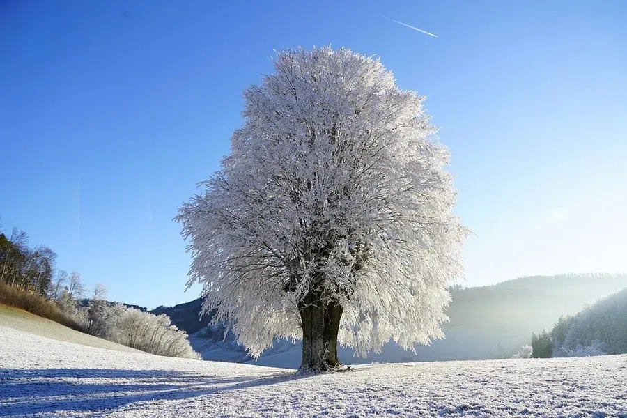 Прогноз погоды на декабрь 2021 года в Сибири и Москве: где будет снег на Новый год