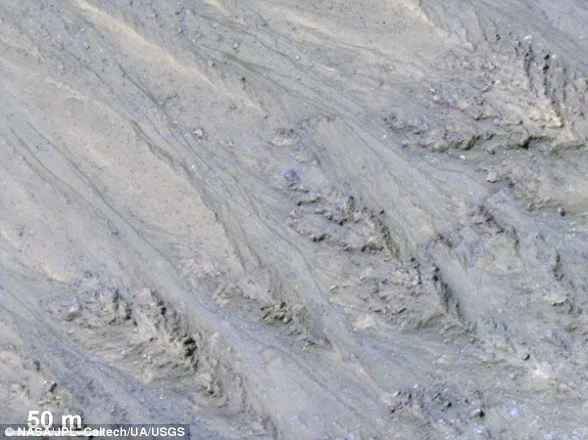Особенности, известные как повторяющиеся линии склона (RSL), были впервые обнаружены в 2011 году (на фото). Эти темные полосы заселяют участки Марса с крутым уклоном. Исследователи предположили, что это могло быть вызвано прерывистым потоком жидкой воды.