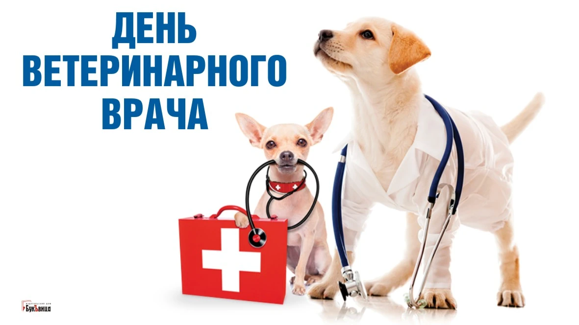 Великолепные поздравления для настоящих профи в в Международный день ветеринарного врача 30 апреля