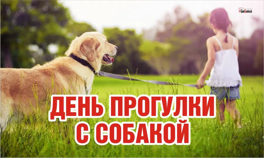 Максимального восторга открытки и в добродушный праздник – День прогулки с собакой 22 февраля