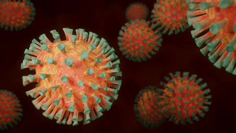Первый случай заражения новым южноафриканским штаммом коронавируса B.1.1.529 выявили в Европе