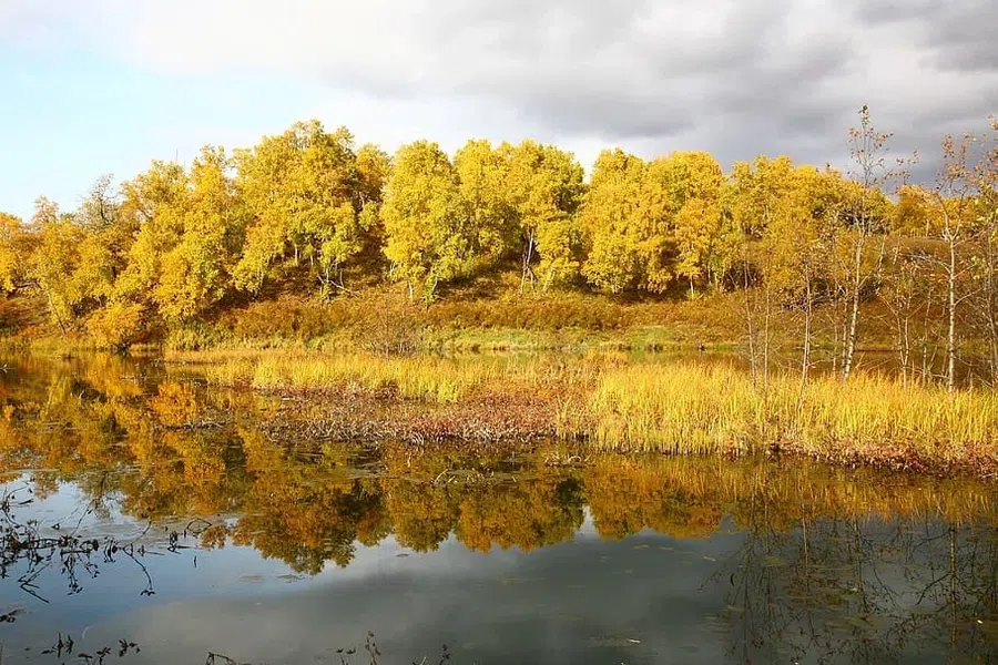 осень, озеро