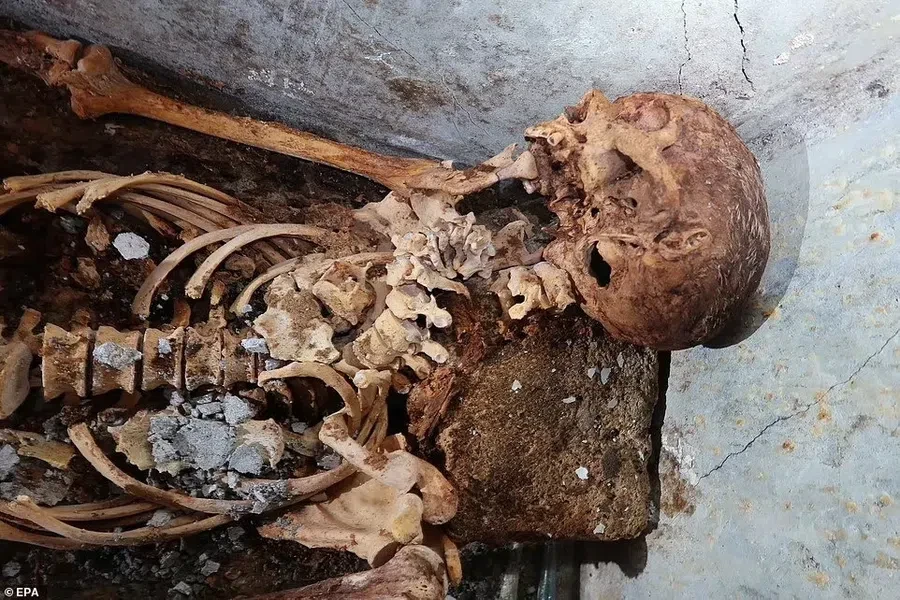 В Новосибирске нашли человеческий скелет на месте снесенных гаражей. СК начал проверку