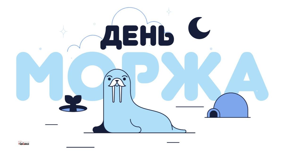 День моржа 24 ноября картинки