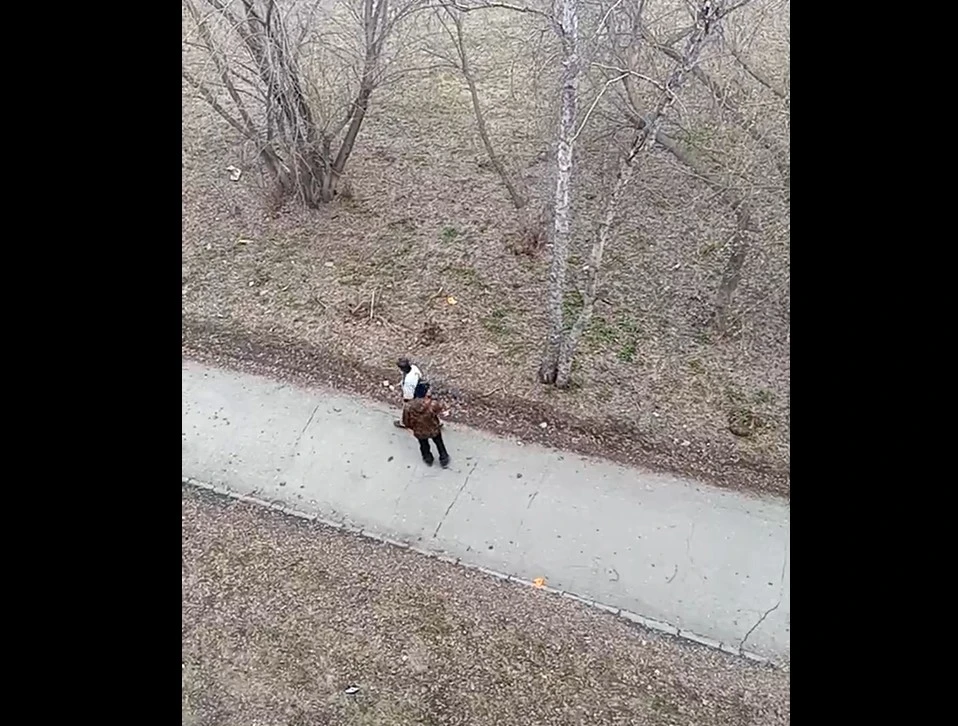 Стоп-кадр с видео