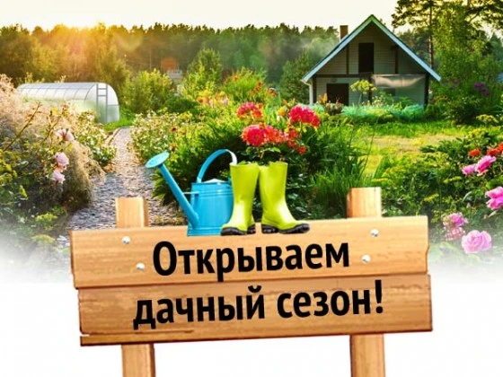 дачный сезон