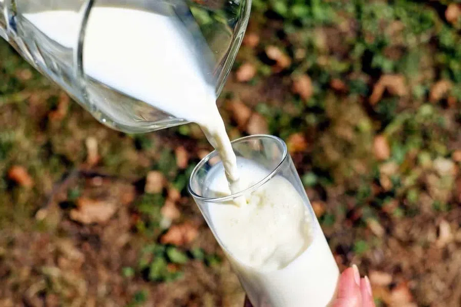 В каких дозах молоко становится вредным для здоровья и кому его вообще нельзя пить, рассказали в Минздраве