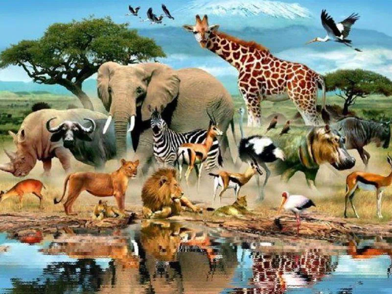 4 октября - Всемирный день животных