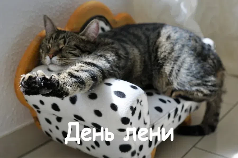 pixabay.com