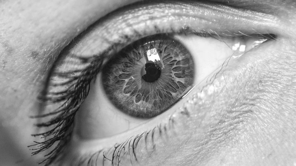 Клетки, обнаруженные в сетчатке глаза, могут стать ключом к обращению смерти. Фото: pixabay.com
