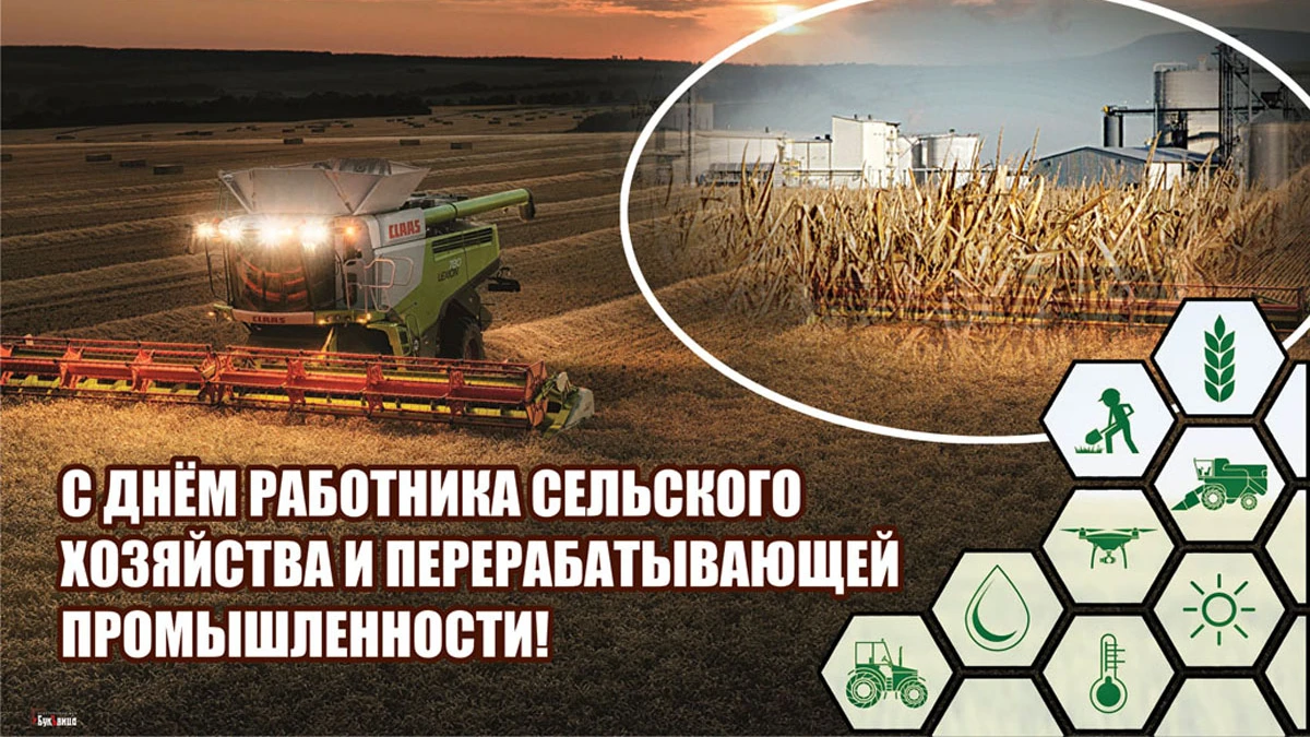 Прекрасные открытки и чуткие поздравления в День работника сельского хозяйства и перерабатывающей промышленности 9 октября