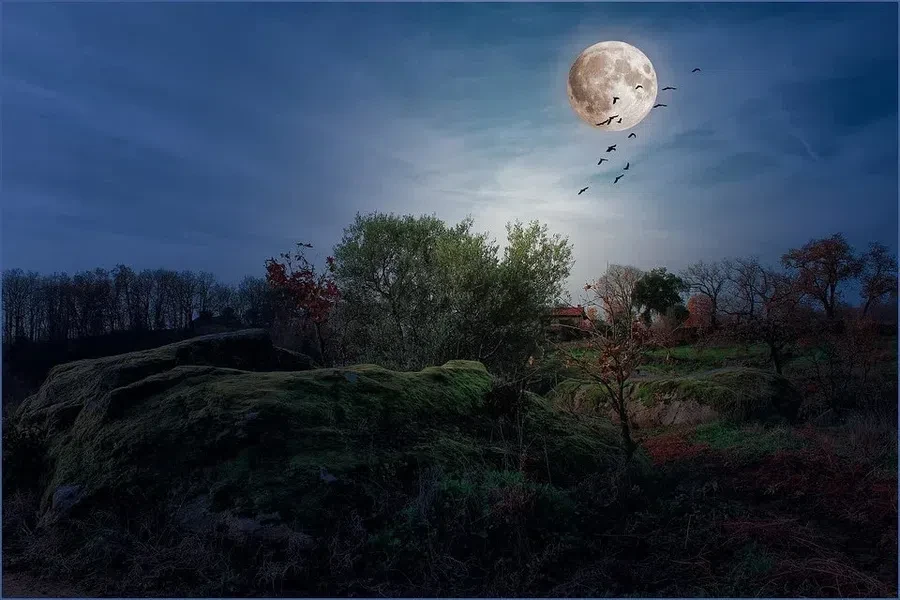pixabay.com
