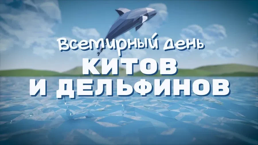 bipbap.ru