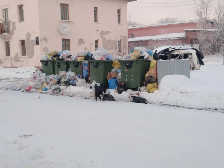 Обанкротившийся регоператор по вывозу мусора "Экология-Новосибирск" продолжит работу в Искитиме в 2022 году