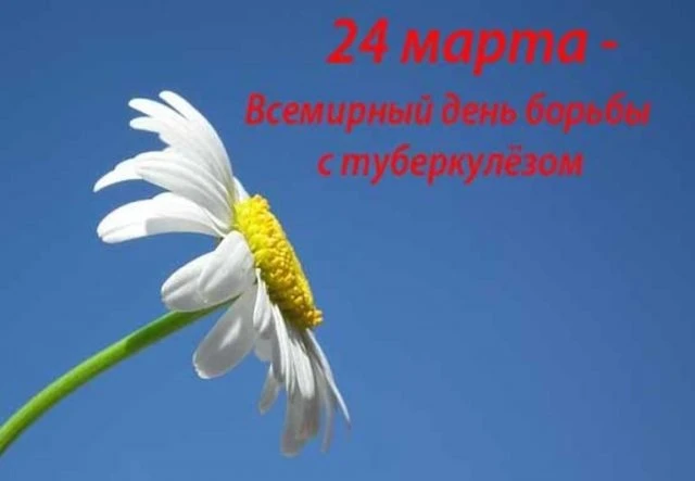 отокрытка