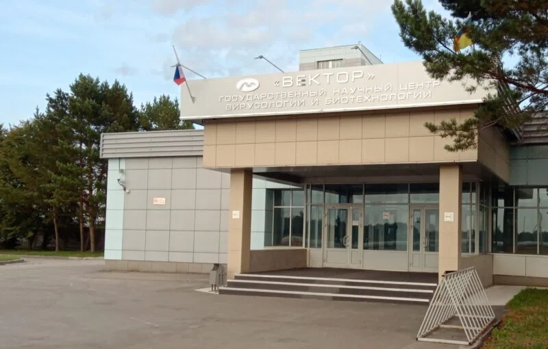 вектор