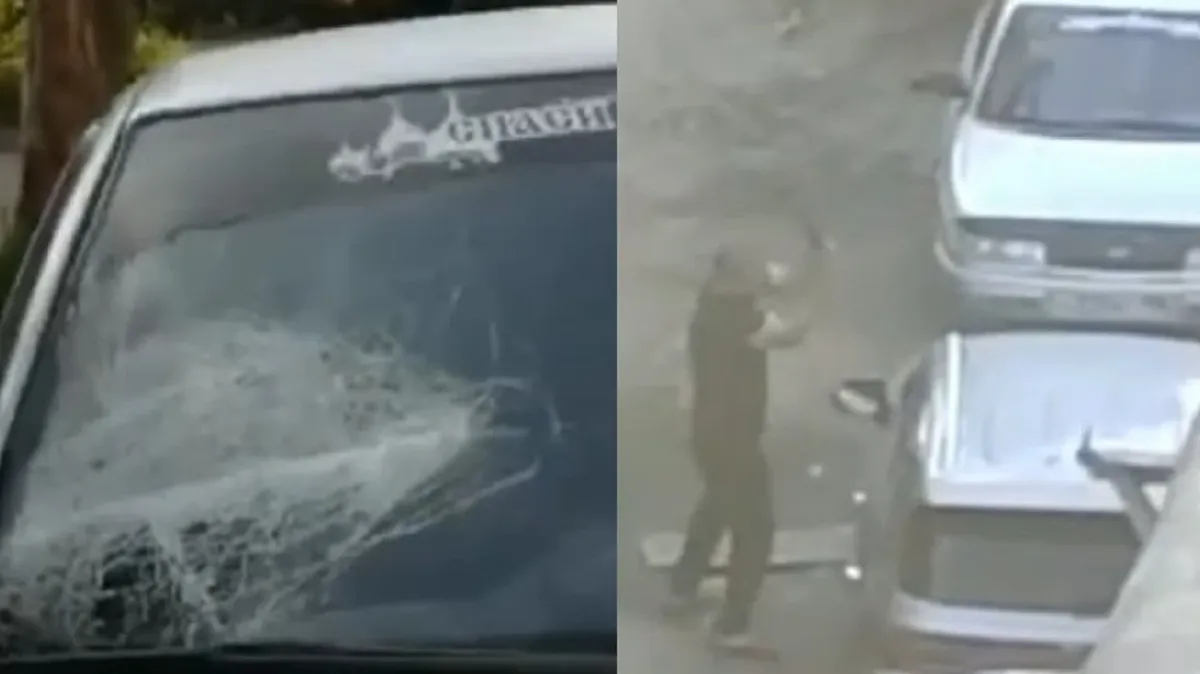 «Это жесть! Мужик все машины раздолбал»: в Екатеринбурге мужчина черенком от лопаты разгромил несколько автомобилей – видео