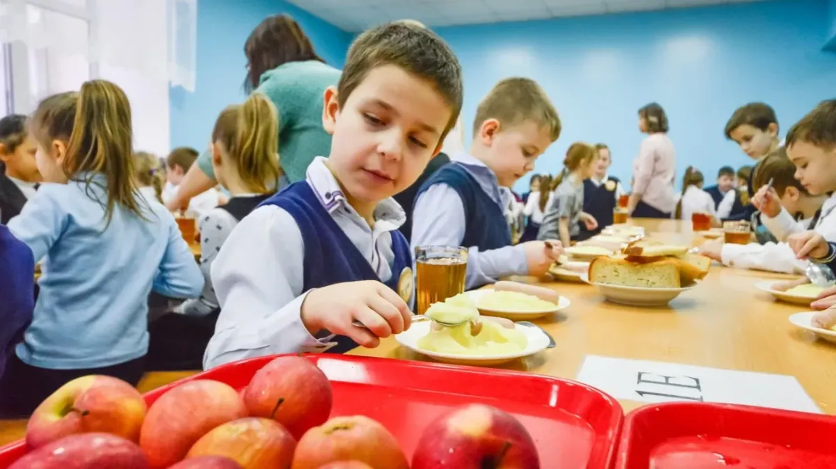 Цена школьного базового питания увеличится на 26% в Новосибирской области из-за взлета стоимости продуктов