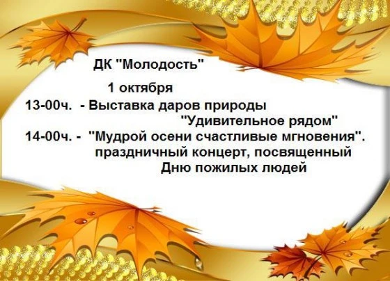 День пожилых людей отметят в Искитиме