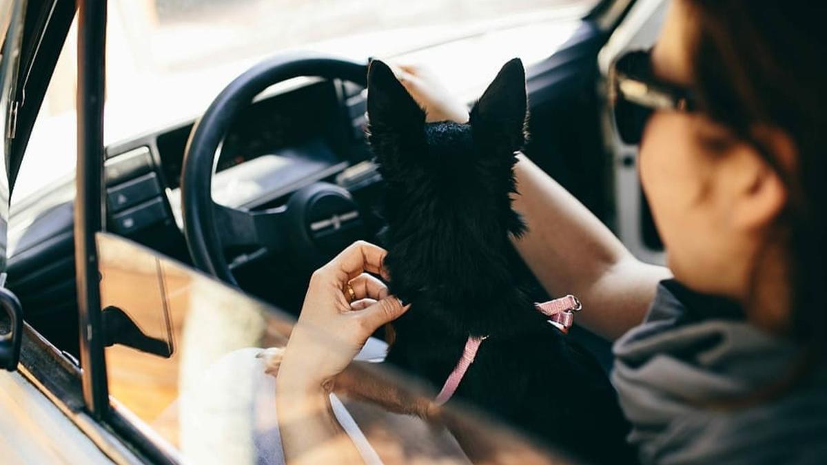 Все изменения для автомобилистов в 2023 году – новые дорожные знаки ...