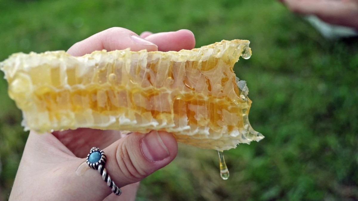 Предки современных пасечников любили положить по ложке благословлённого мёда в ульи – угостить пчёл перед холодами. Фото: Piqsels.com