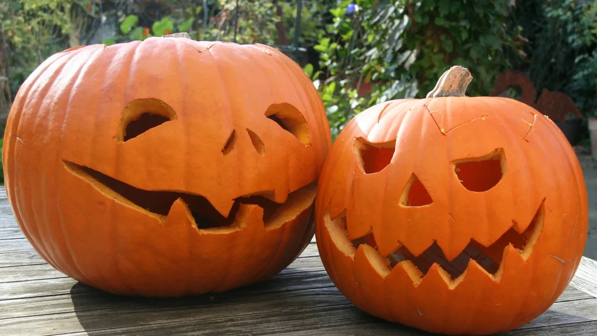 31 октября мертвые танцуют и поют: ужасные традиции и веселые особенности Хэллоуина – 13 строжайших запретов и 15 очень-очень необходимых дел для живых