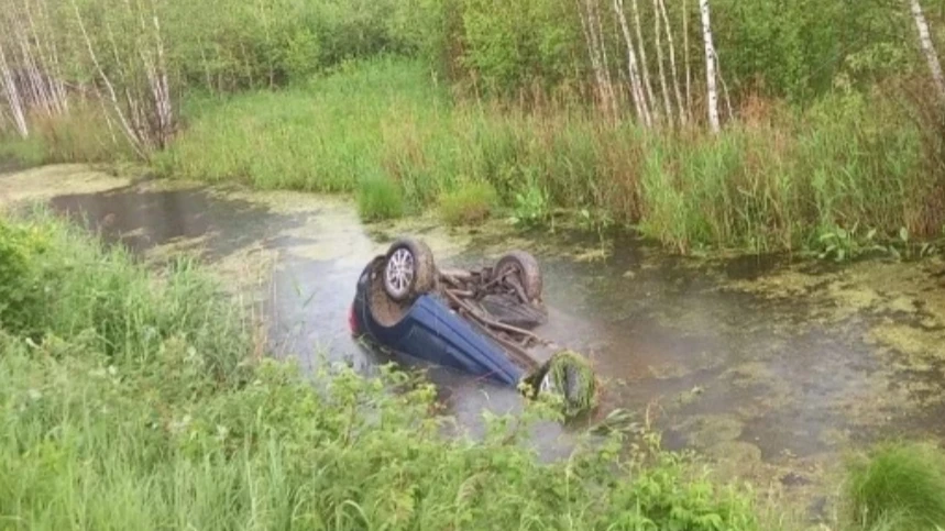 Под Новосибирском синий Lifan упал в болото. Два пассажира скончались до приезда «скорой»