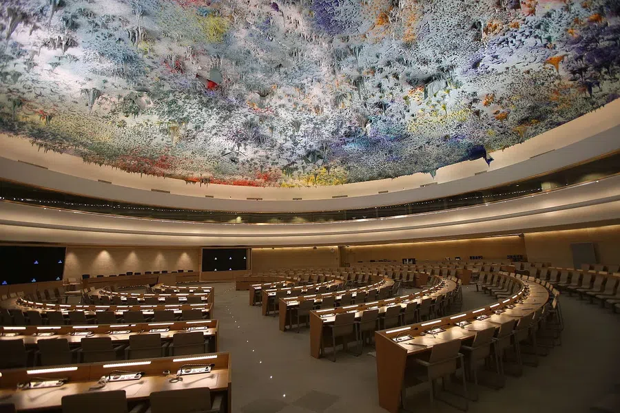 Совет ООН одобрил формирование комиссии по расследованию нарушений права человека на Украине