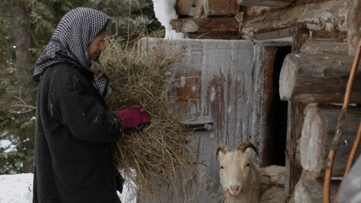 Агафья Лыкова живет одна в тайге. Фото: agafiya-likova.ru
