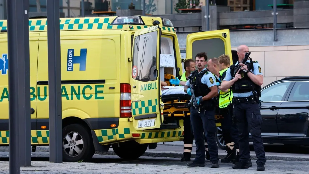 Предполагаемого убийцу трех людей в ТЦ Копенгагена отправили в психиатрическое отделение. Фото: AP