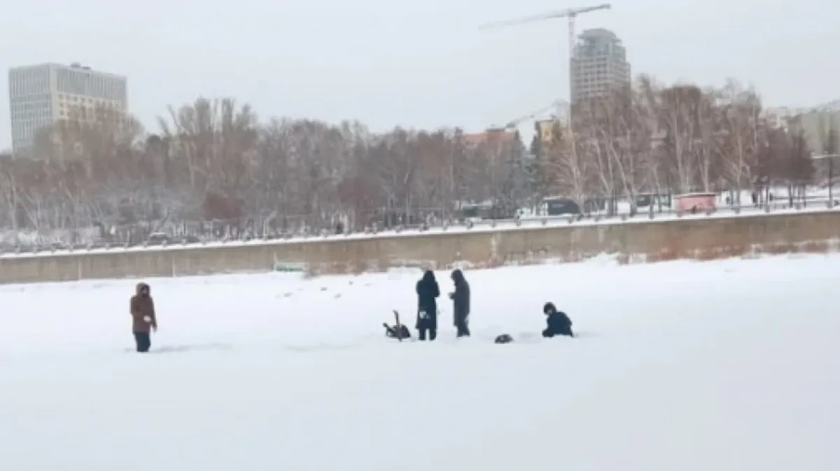 В Новосибирске четверо мужчин застряли посреди реки у Октябрьского моста