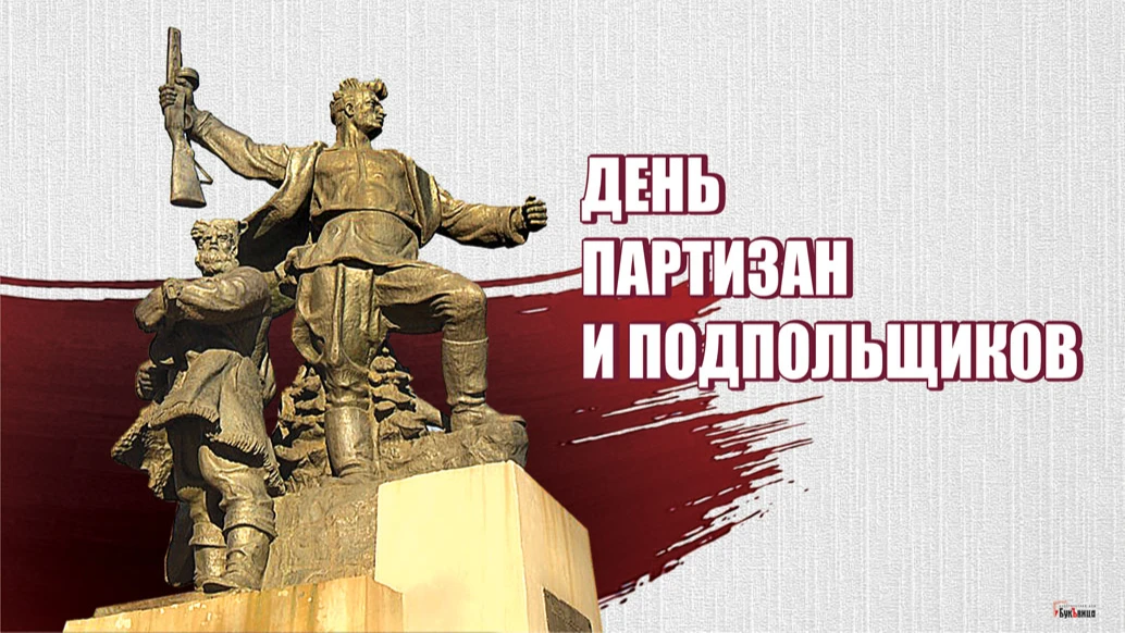 Забавные картинки для отправки россиянам в День партизан и подпольщиков 29 июня