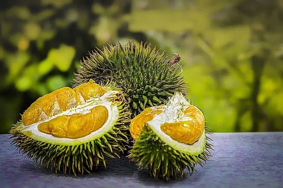 Piqsels