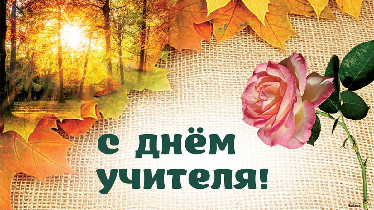 С днем учителя! Добрые открытки и красивые поздравления для учителей России 2 октября