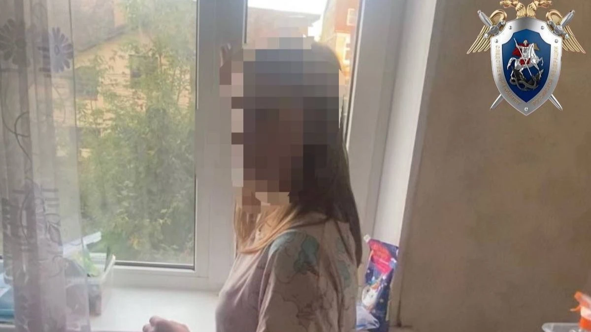 В Нижнем Новгороде 24-летняя мать родила и выкинула новорожденного из окна квартиры в кусты