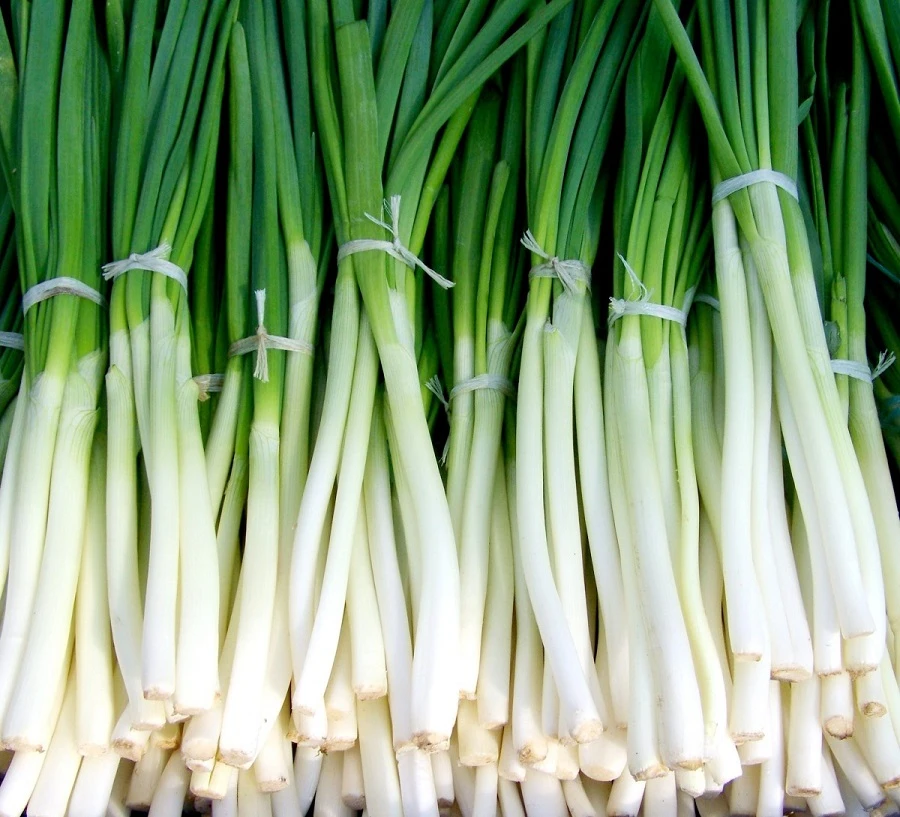 лук
