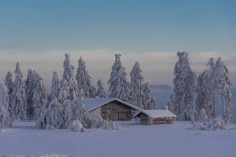 Гороскоп для каждого знака зодиака на 1 день зимы.
