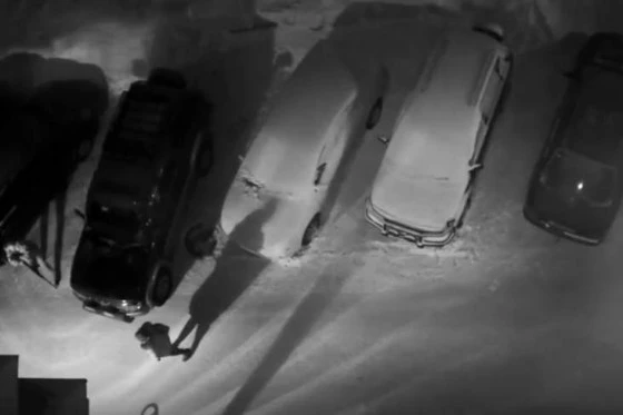 Момент убийства попал на камеру видеонаблюдения
