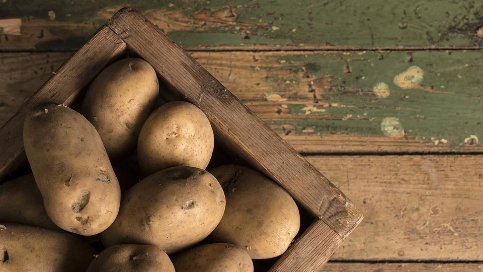 Поздний картофель, также известный как основная культура, созревает от 16 до 22 недель, и его можно сажать с середины до конца апреля. Фото: pixabay.com