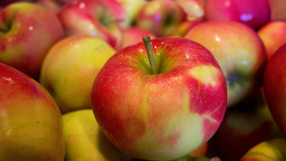 Новые открытия ученых о чудесах яблок, мимо которых вы каждый день проходите в магазине