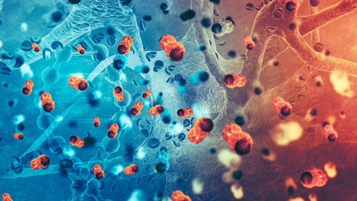 Рак описывает пролиферацию злокачественных клеток, которые превращаются в опухоли, и этот процесс может происходить практически в любом месте тела. Фото: Pixabay.com
