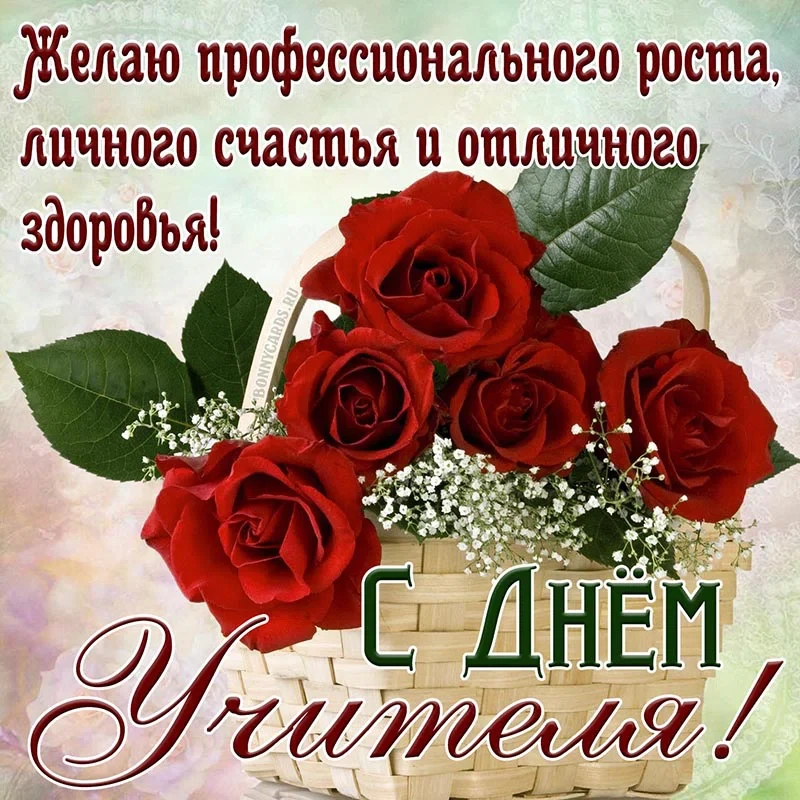 bonnycards.ru