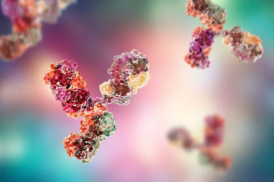 Перенесённый коронавирус и вакцинация вместе дают лучшие антитела против новых вариантов