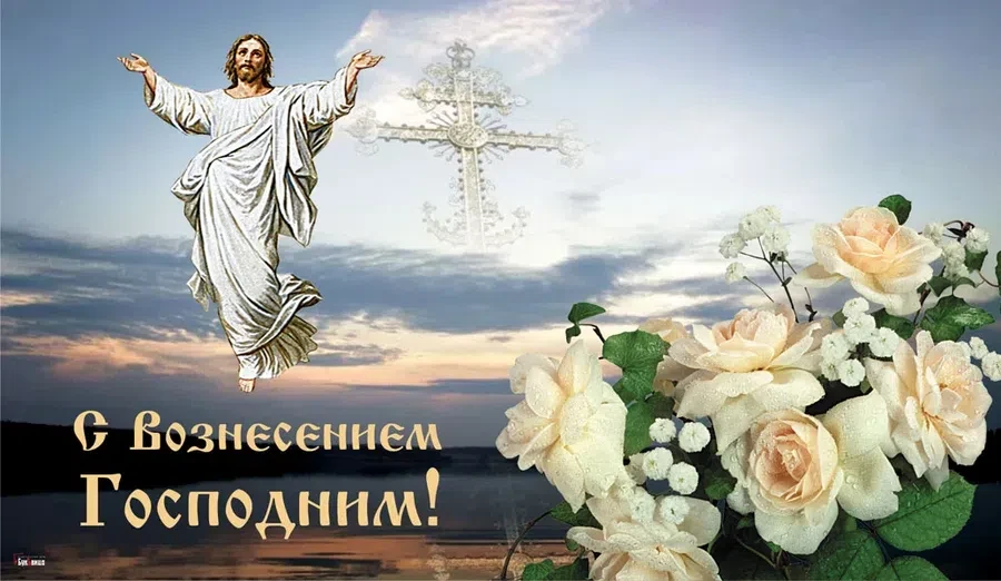 Весь Искитим