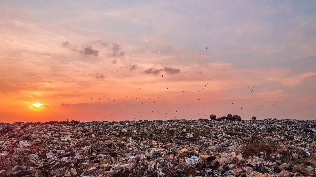 В Искитимском районе по просьбе прокуратуры устранили крупную нелегальную свалку отходов 